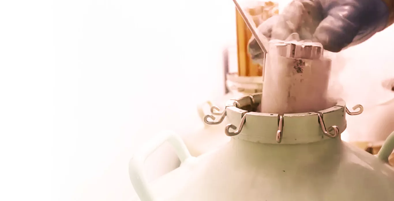 Egg Freezing Procedure