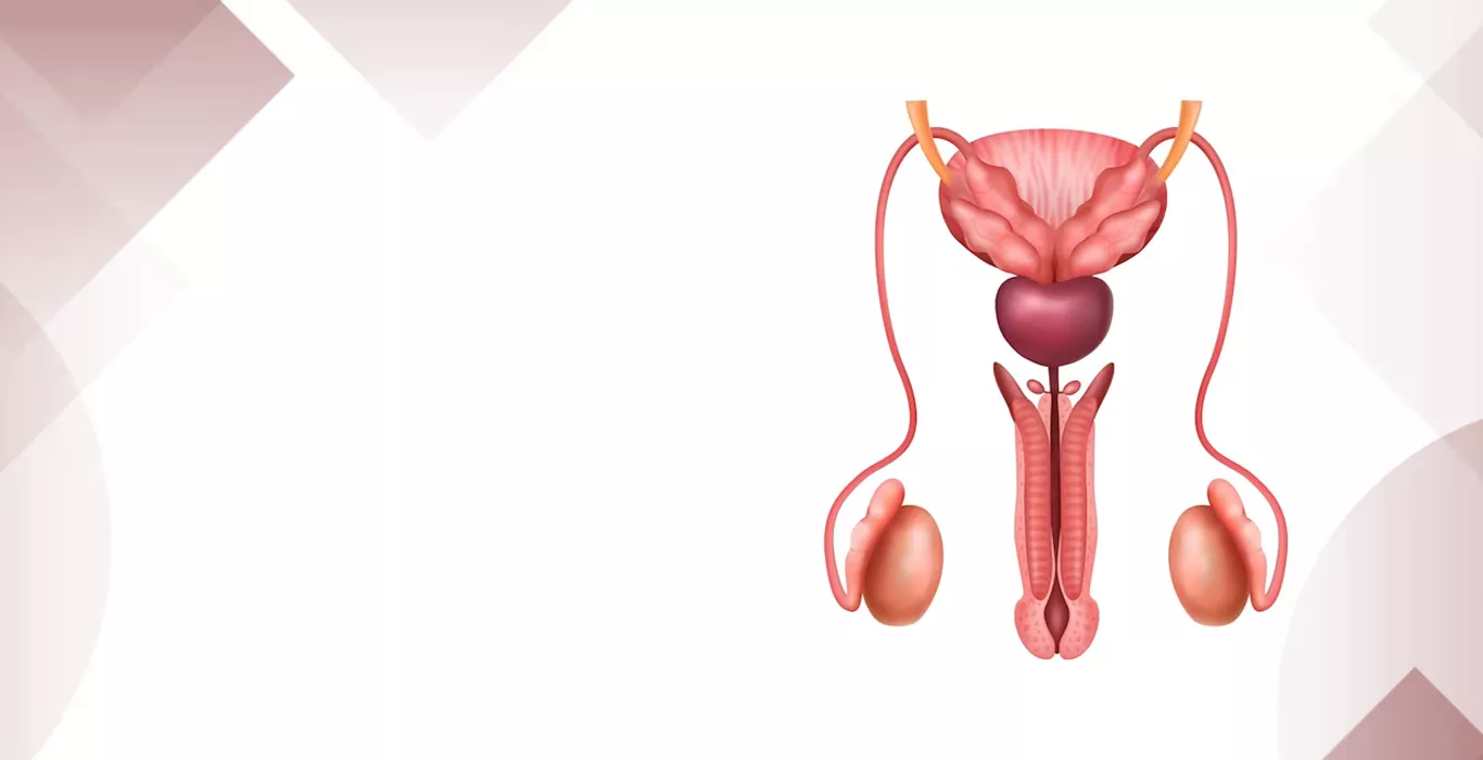 Testicular Atrophy