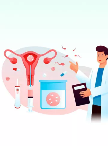 How many days Sperm Live in Female Body after Intercourse?