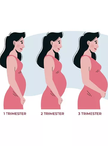 IVF Pregnancy Week by Week: Symptoms and Safety