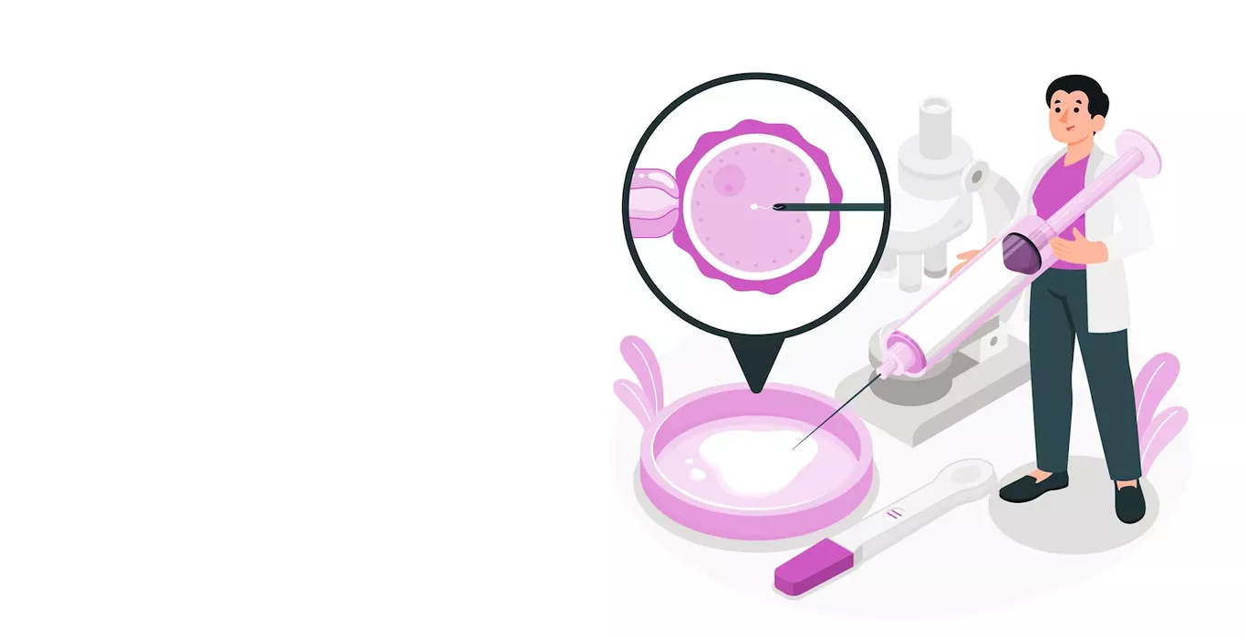 In Vivo Fertilization – Meaning, Methods, Process, and Benefits