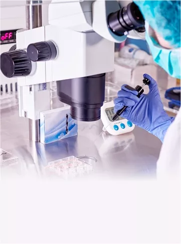 Artificial Intelligence Embryo Selection Procedure