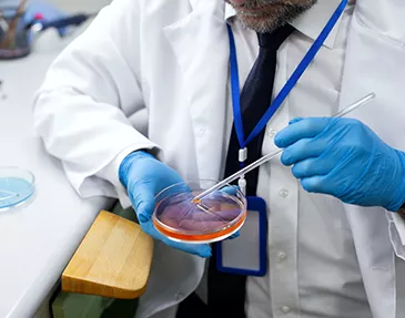 Treatments Offered <a href='/advanced-infertility-treatment/sperm-dna-fragmentation-index-dfi'>DNA Fragmentation Index</a>
